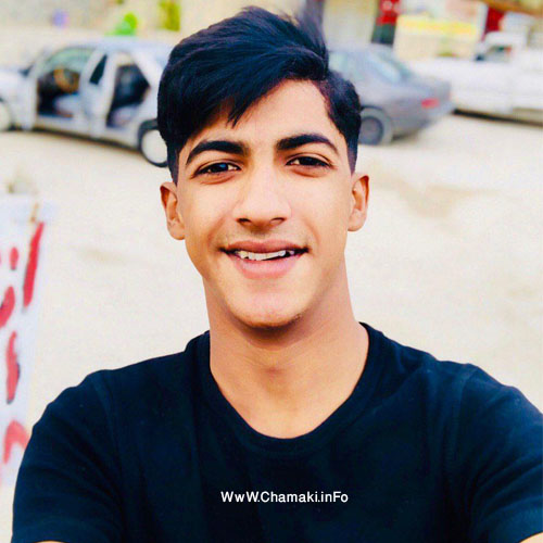 مهرزاد نوازنده بلبل پر بسته